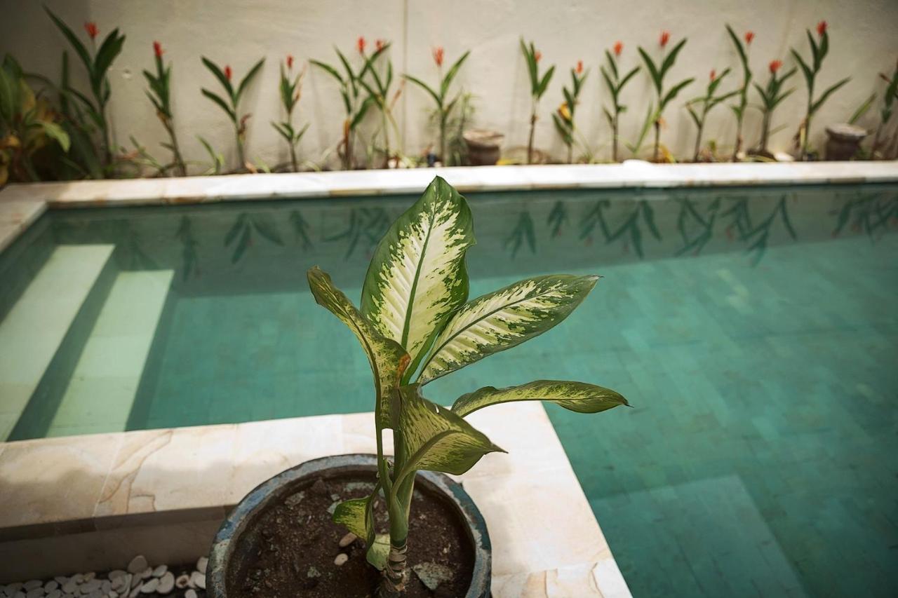Papaya Villa Sanur Ngoại thất bức ảnh
